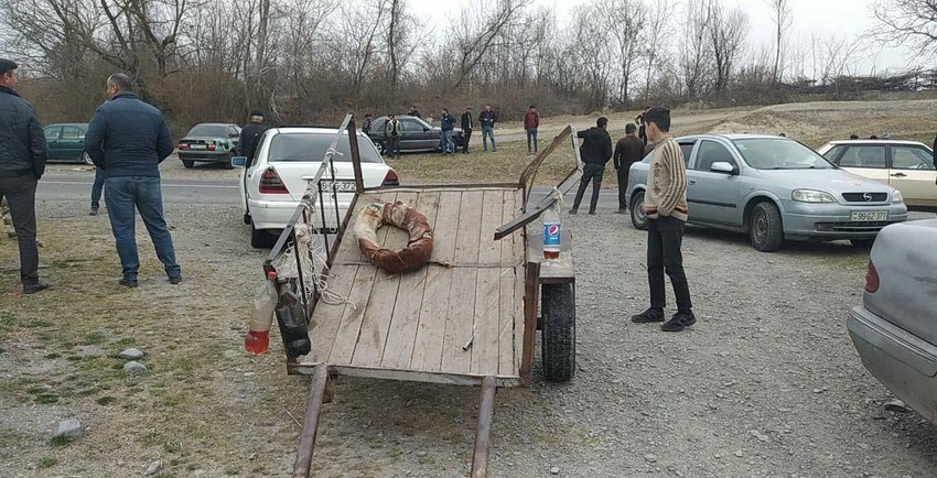 Cəlilabadda minik avtomobili ilə at arabası toqquşub, xəsarət alanlar var