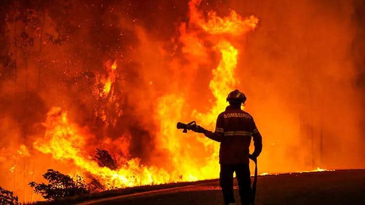 Portuqaliyada bir neçə məntəqədə meşə yanğınları qeydə alınıb