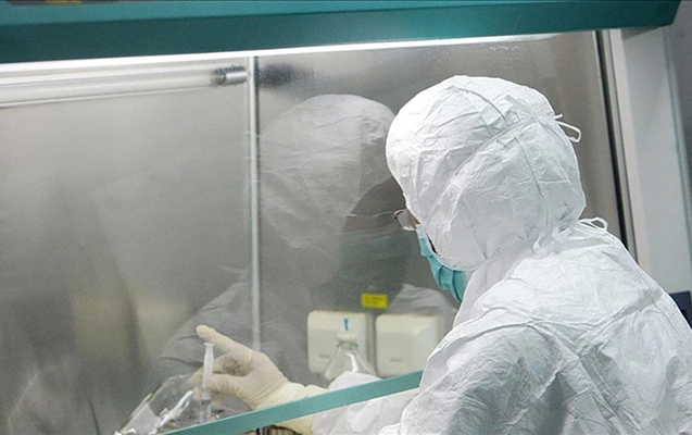 Bu ölkədə də meymunçiçəyi virusu aşkarlandı