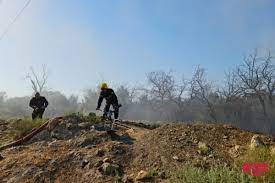 Zəngilanda ağaclıq ərazi yanır