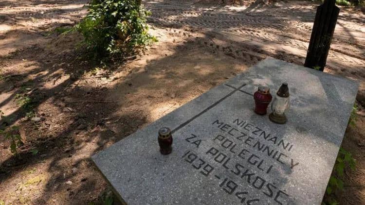 Polşada 8000 nasist qurbanının külləri tapılıb