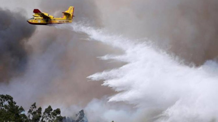 Yanğını söndürən təyyarə qəzaya uğradı - Pilot öldü