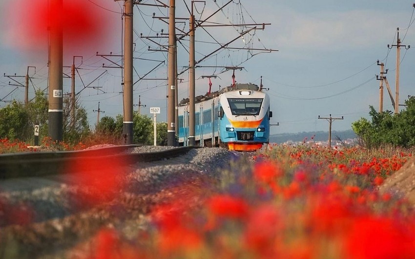 Ağstafada qatar qadını vuraraq öldürüb