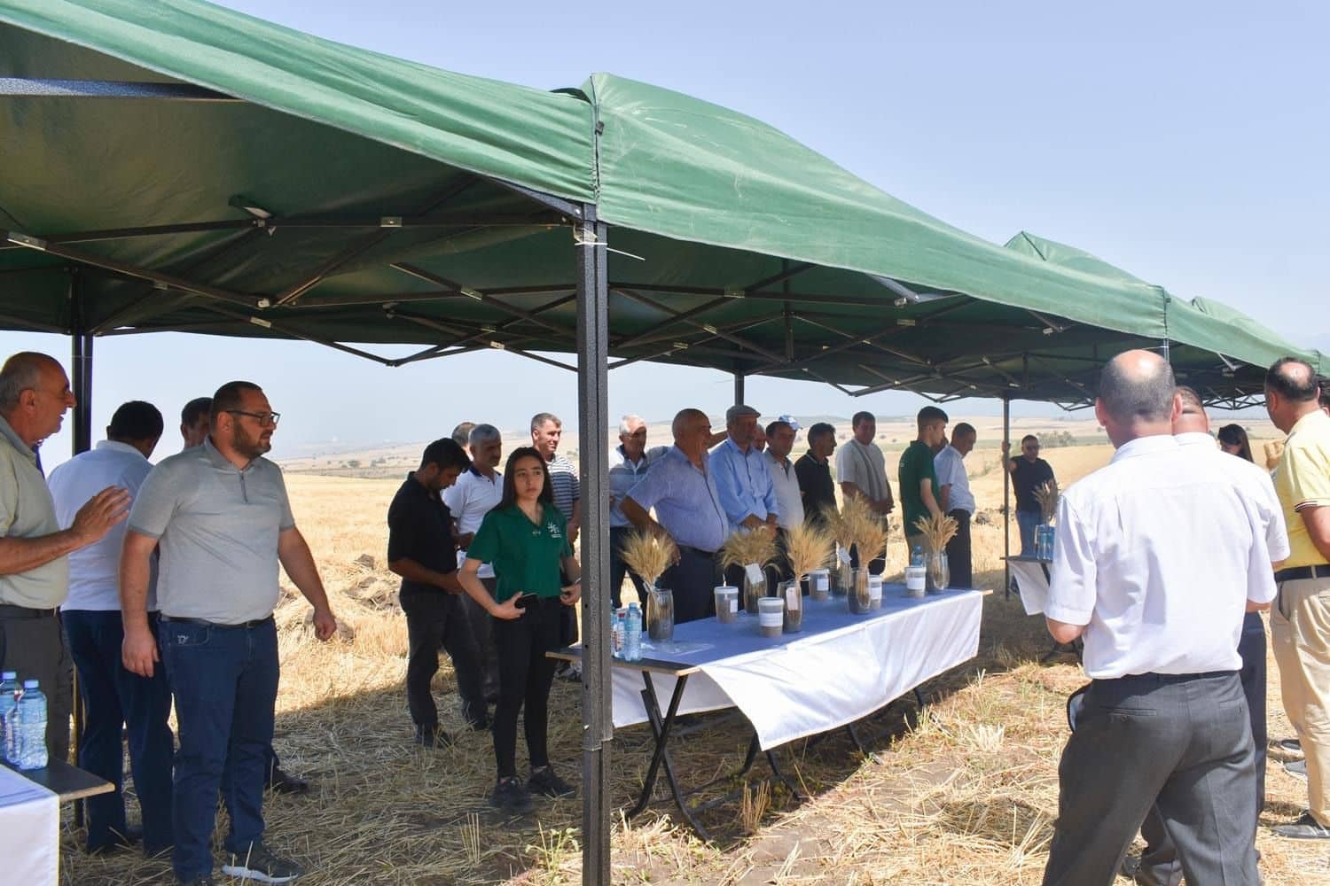 Ölkə üzrə 331719 hektar sahədə yay şumu aparılıb