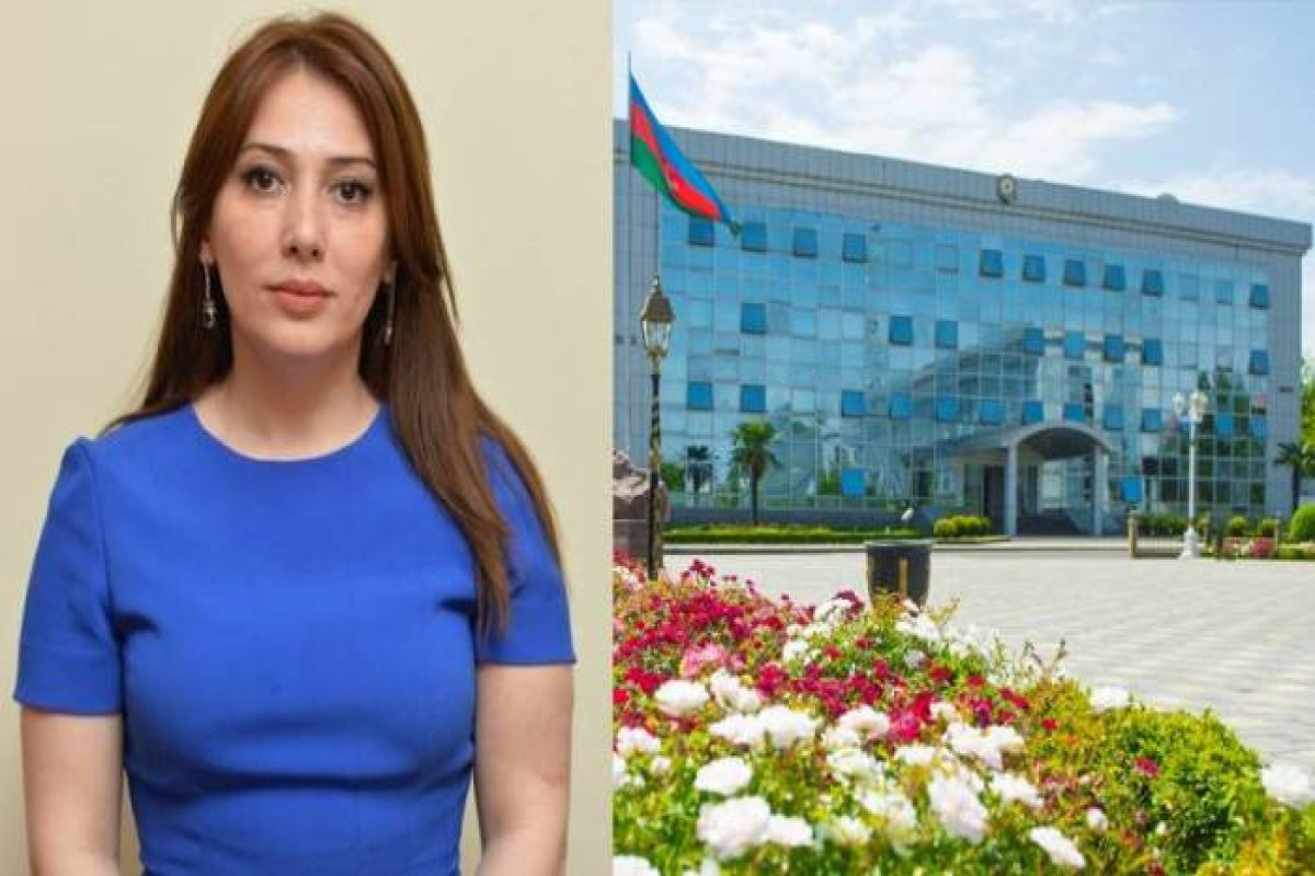 Lənkəranda məktəbliyə zorakılıq edən icra başçısının müavini işdən çıxarılıb - RƏSMİ