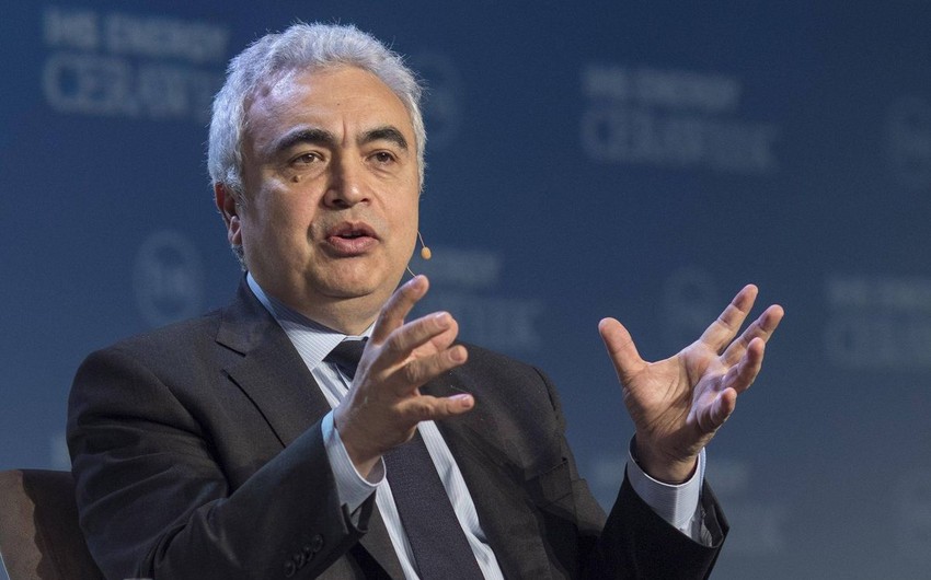 BEA rəhbəri Avropanı təbii qaz istehlakını azaltmağa çağırıb