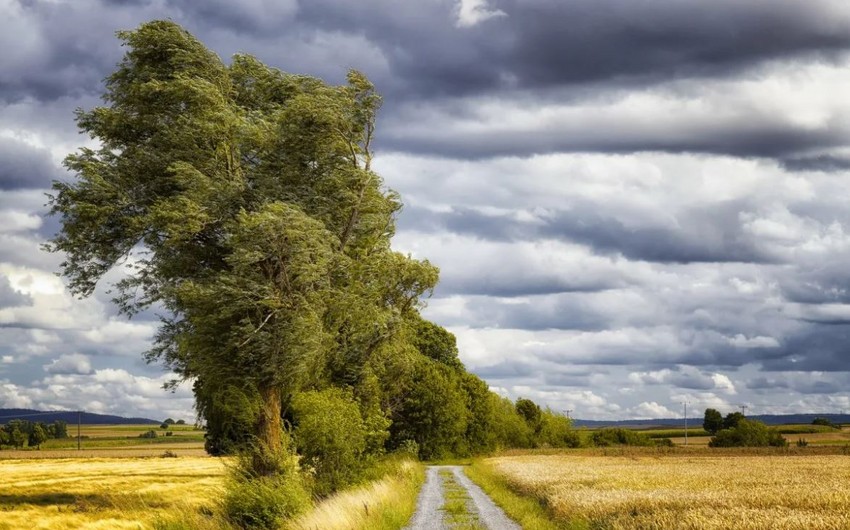 Sabahın hava proqnozu açıqlanıb
