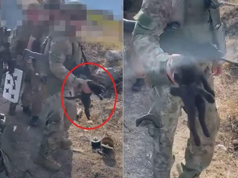 Minalardan təmizləmə əməliyyatı zamanı gözlənilməz sürpriz - VİDEO