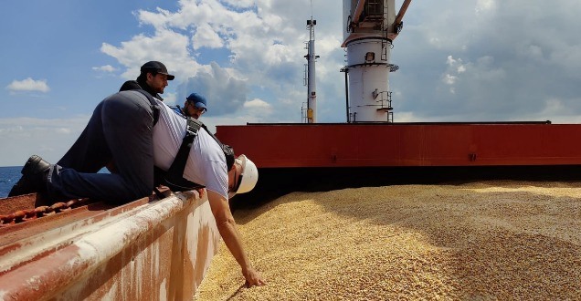 İstanbulda Ukraynadan taxıl yükü ilə gələn ilk gəmiyə baxış keçirildi - Fotolar