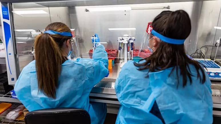 ABŞ iki ştatda meymunçiçəyi ilə bağlı fövqəladə vəziyyət elan edib