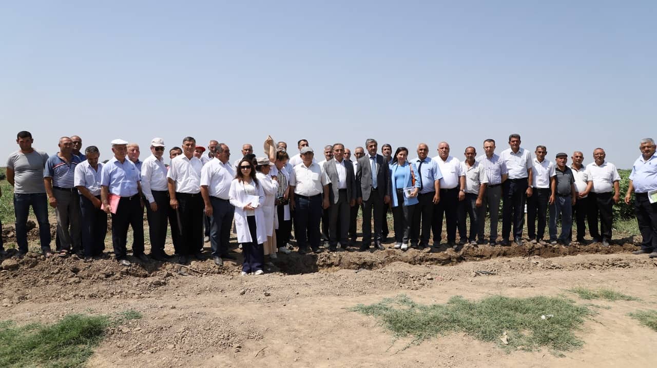 Beyləqanda keçirilən tarla seminarında pambıqçılığın inkişafı müzakirə olunub