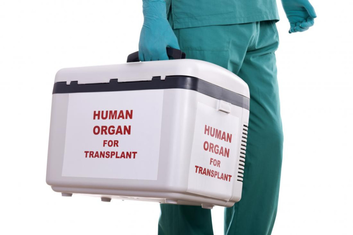 “Orqan Donorluğu və Transplantasiyası üzrə Koordinasiya Mərkəzi” yaradılıb