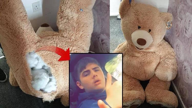 Polisin axtardığı dəlil oyuncaq ayıdan çıxıb