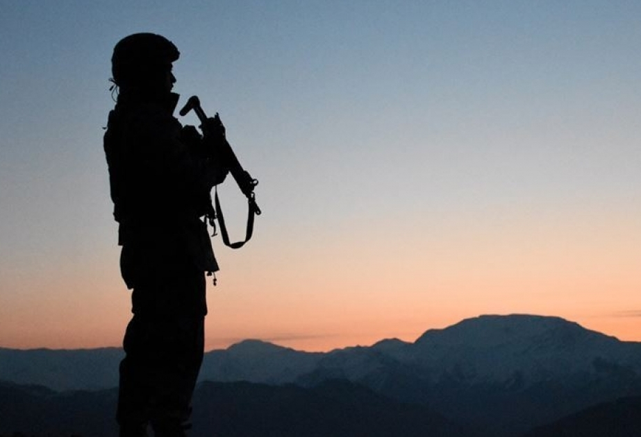 İraq və Suriyada terrorçular məhv edilib