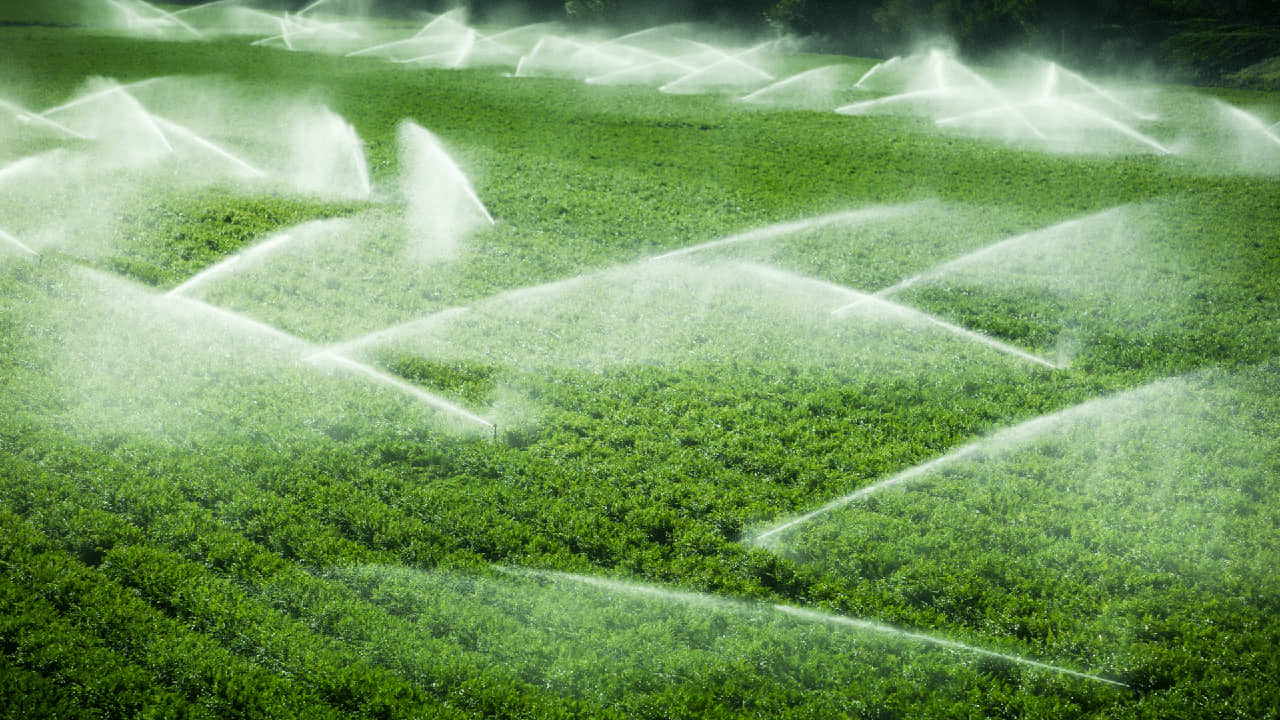 Torpaq istifadəçilərini suya həsrət qoyan vəzifəli şəxslər saxlanıldı