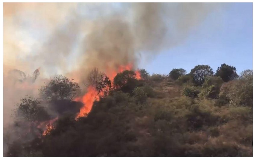 Laçını tərk etməyə hazırlaşan ermənilər meşəyə od vurub - VİDEO