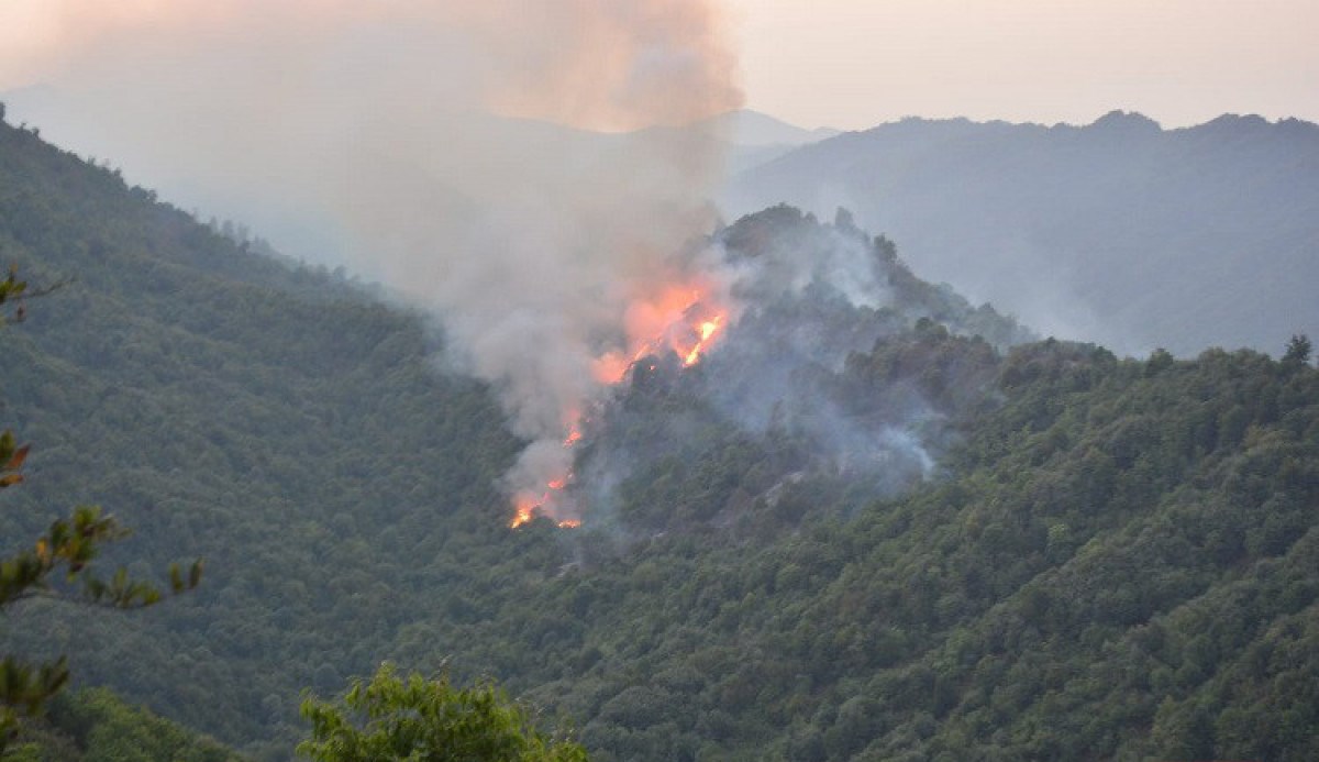 Şabran və Qəbələdə yanğının söndürülməsinə helikopterlər cəlb olunub