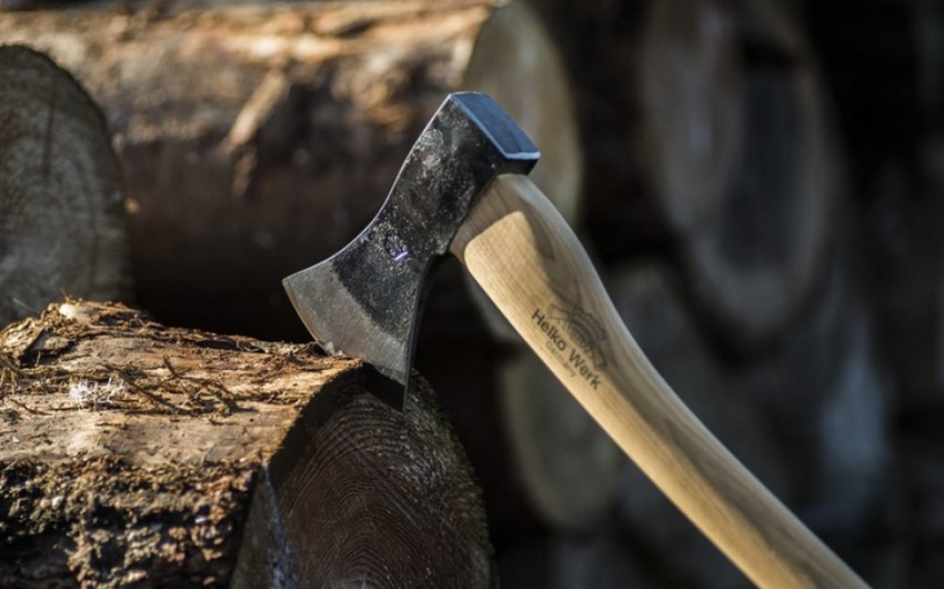 Azərbaycanda 40-dan çox ağacın kəsilməsinə görə cinayət işi başlanılıb