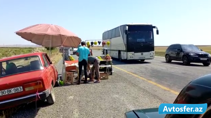 Magistral yolda üzüm almaq üçün 500 metr geri gedən avtobus - 90-XX-183 - VİDEO