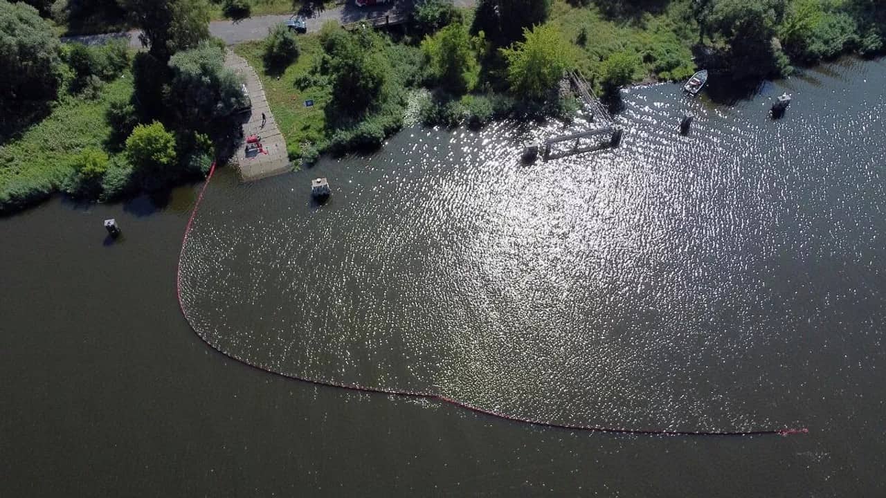 Bu çayda 100 ton ölü balıq tapılıb