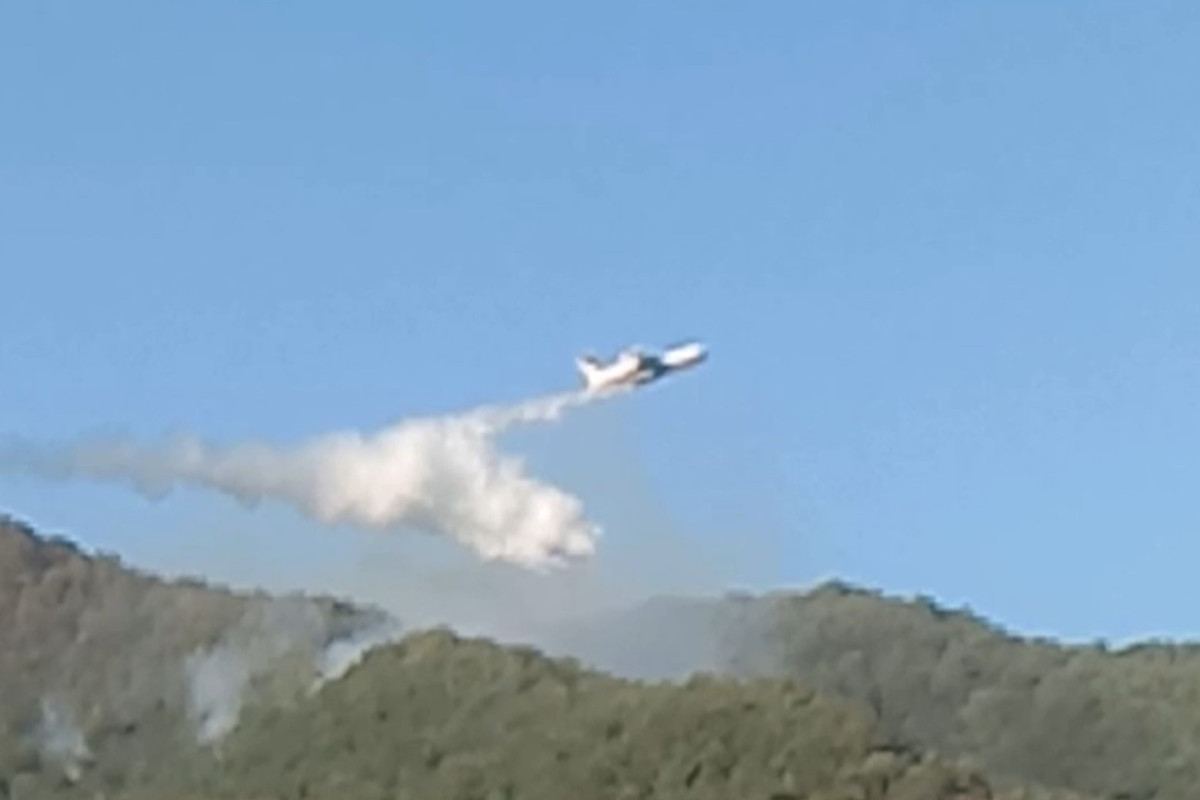 Şimal və Şimal-qərb regionlarında yanğınların söndürülməsi davam etdirilir - VİDEO