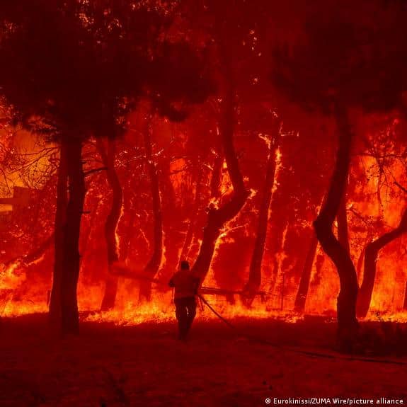 Avropada 700 min hektar meşə sahəsi yanıb