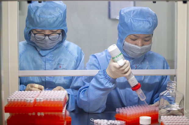 Çində ortaya çıxan “Langya” virusu ciddi tədbirlər tələb edə bilər