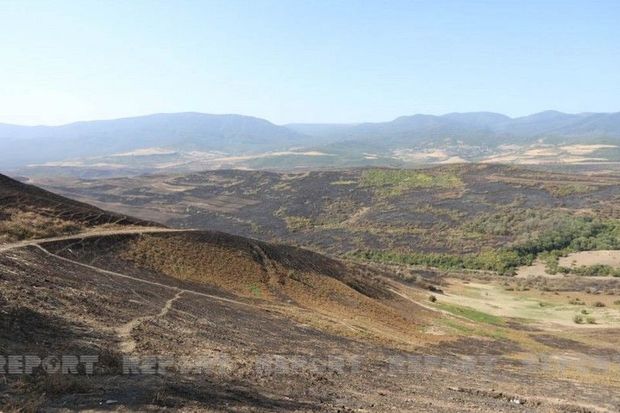 Şabranın bəzi kəndlərində yanğınlar söndürüldü - FOTO