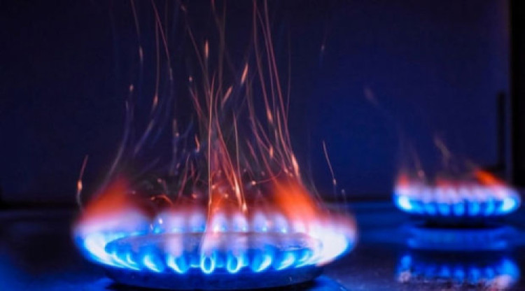 SON DƏQİQƏ: Qazın qiyməti KƏSKİN BAHALAŞDI