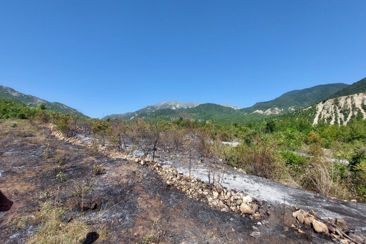 İsmayıllıda qəsdən yanğın törətmə faktının üstü açılıb