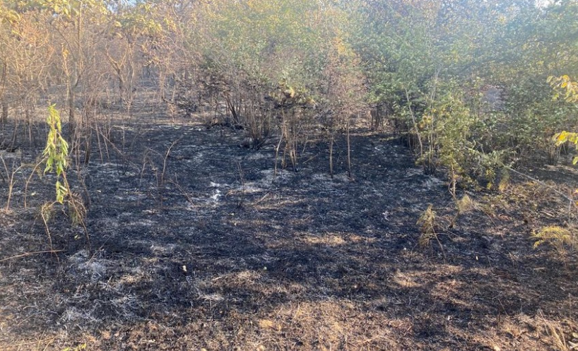 Qubada meşələrin 500 hektarı yanıb, yanğın lokallaşdırılıb