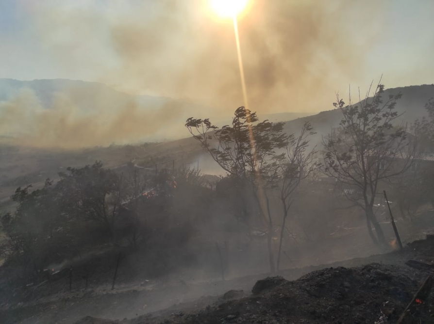 Azərbaycanda meşə yanğınlarını kimlər törədib? - RƏSMİ - VİDEO