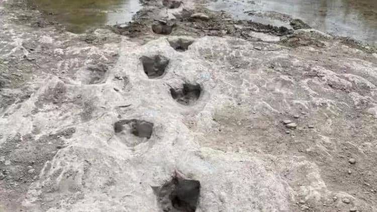 ABŞ-da 113 milyon illik dinozavr izləri ortaya çıxdı