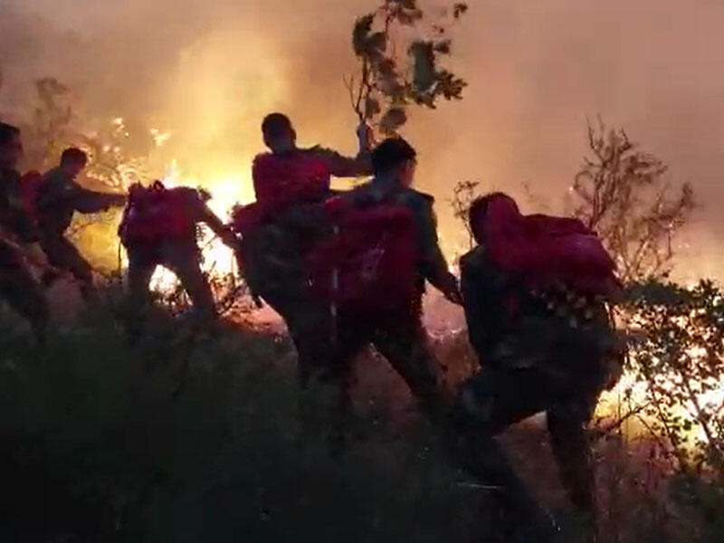 Azərbaycanda baş verən 6 yanğının qəsdən törədildiyi aşkarlandı