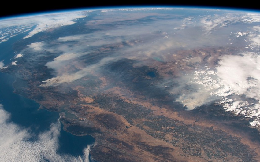 Avstraliyada yanğınlar 12 milyon hektardan çox meşə sahəsini məhv edib