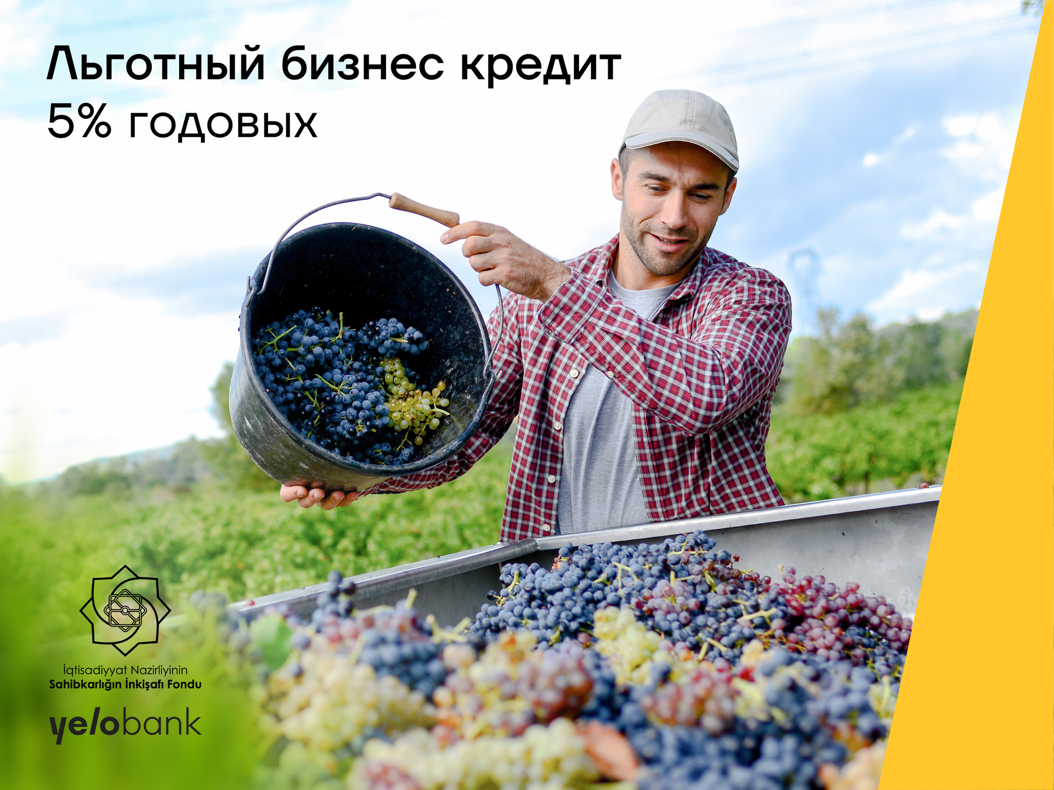 Льготные бизнес кредиты от Yelo Bank всего под 5% годовых