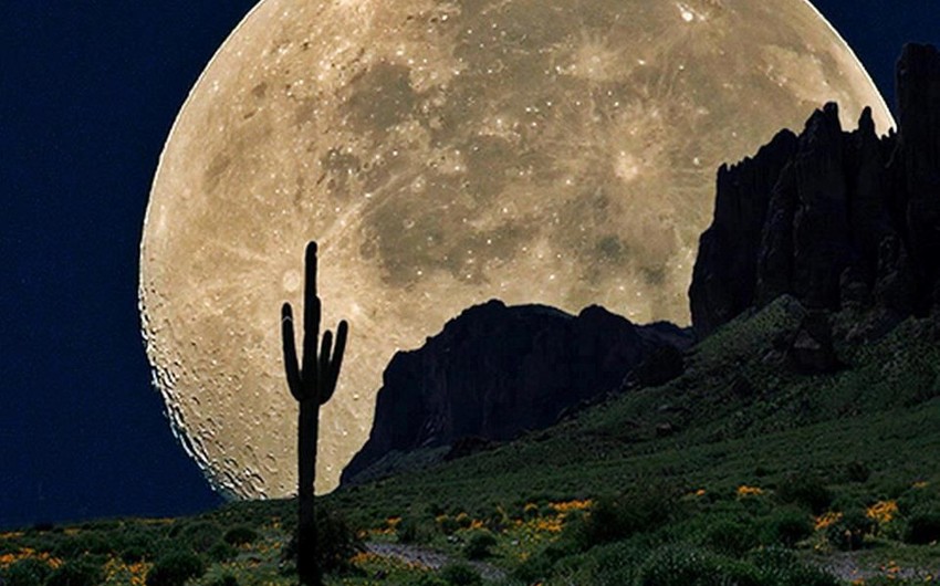 NASA rəhbəri: “Yer sakinləri Aya yaşamaq və təhsil almaq üçün gedəcək”