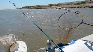 Balıq ovunun moratorium müddəti sabah bitir