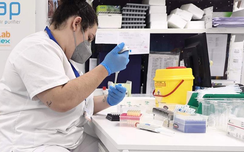 Argentinada naməlum xəstəlik yayılıb