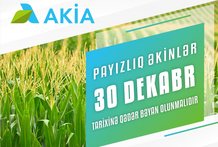 Payızlıq əkin bəyanlarının qəbuluna başlanılıb