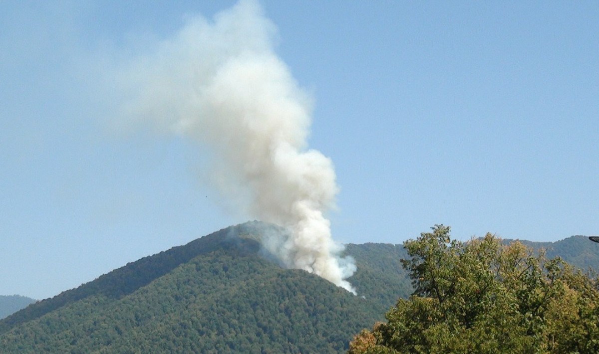 Zaqataladakı yanğın nəzarət altına alınıb