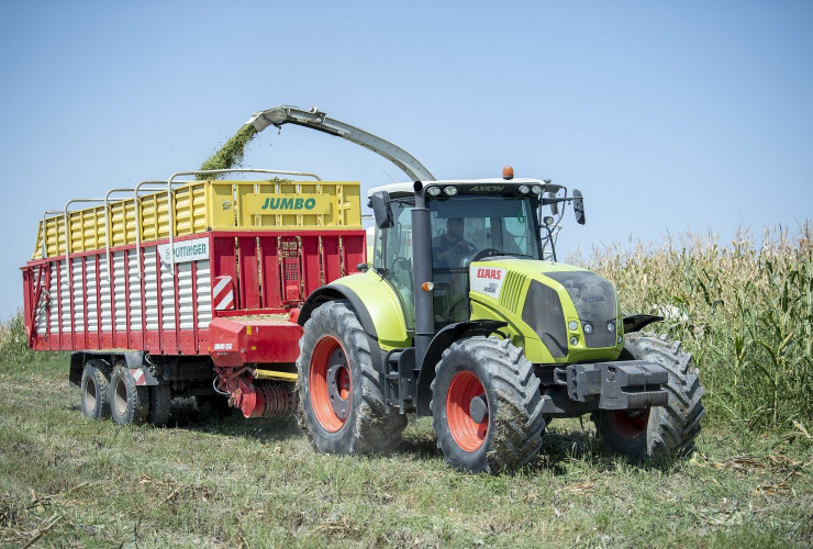 Ağdaşda təkrar qarğıdalı əkininə, qarğıdalı silosunun hazırlanmasına həsr olunmuş açıq tarla müşavirəsi keçirilib