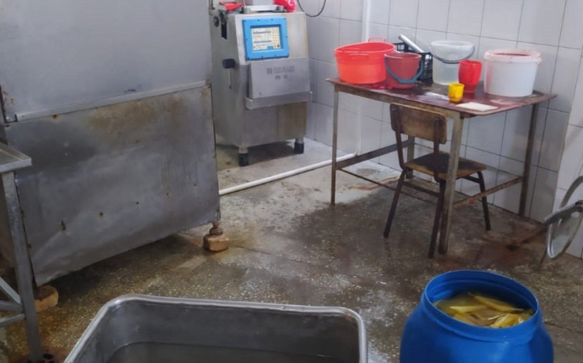 Göygöldə kolbasa istehsalı müəssisəsində nöqsanlar aşkarlanıb