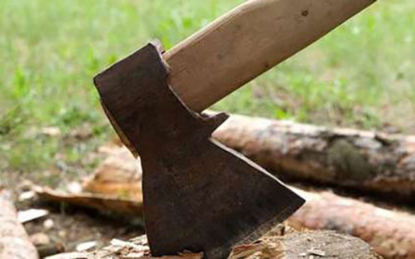 Binəqədidə ağacı zədələyən şəxs cəzalandırılıb