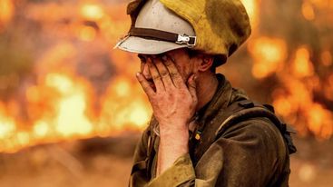 Kaliforniyada meşə yanğınları nəticəsində 11 mindən çox insan təxliyə edilib