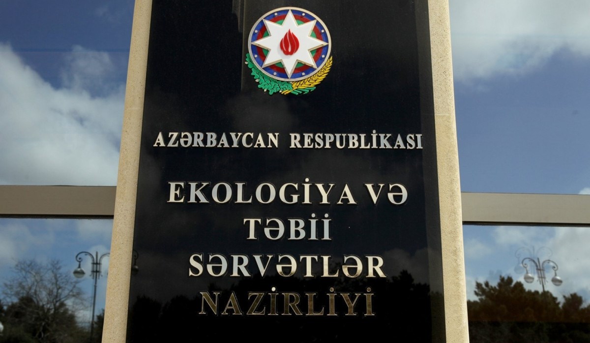 Xətai rayonunda ağacları kəsən şirkət cəzalandırılıb