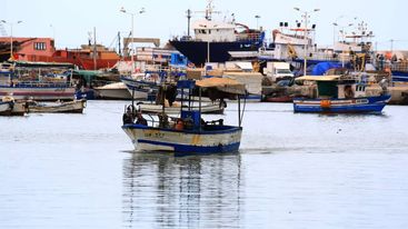 Tunisdə 13 mindən çox insan qeyri-qanuni yollarla İtaliyaya keçib