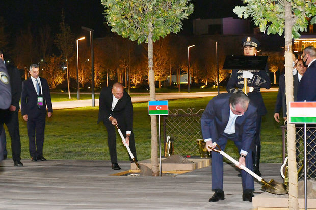 İlham Əliyev Özbəkistanda ağac əkdi - FOTO