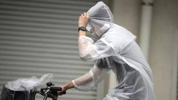 Yaponiyada tayfun nəticəsində xəsarət alanların sayı 122 nəfərə çatıb