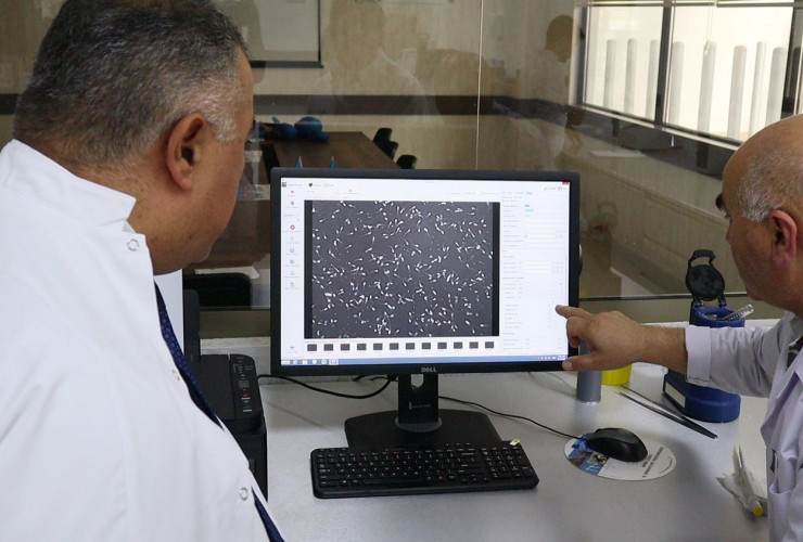 Azərbaycanda ilk dəfə iribuynuzlu heyvanlarda embrion transferi həyata keçiriləcək